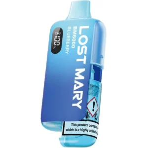 Blueberry Lost Mary BM6000 pod vape kit 12ml 10mg