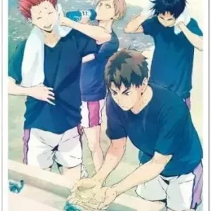 Ensky Haikyuu!! Character Card Sleeves - 65 Standard Count