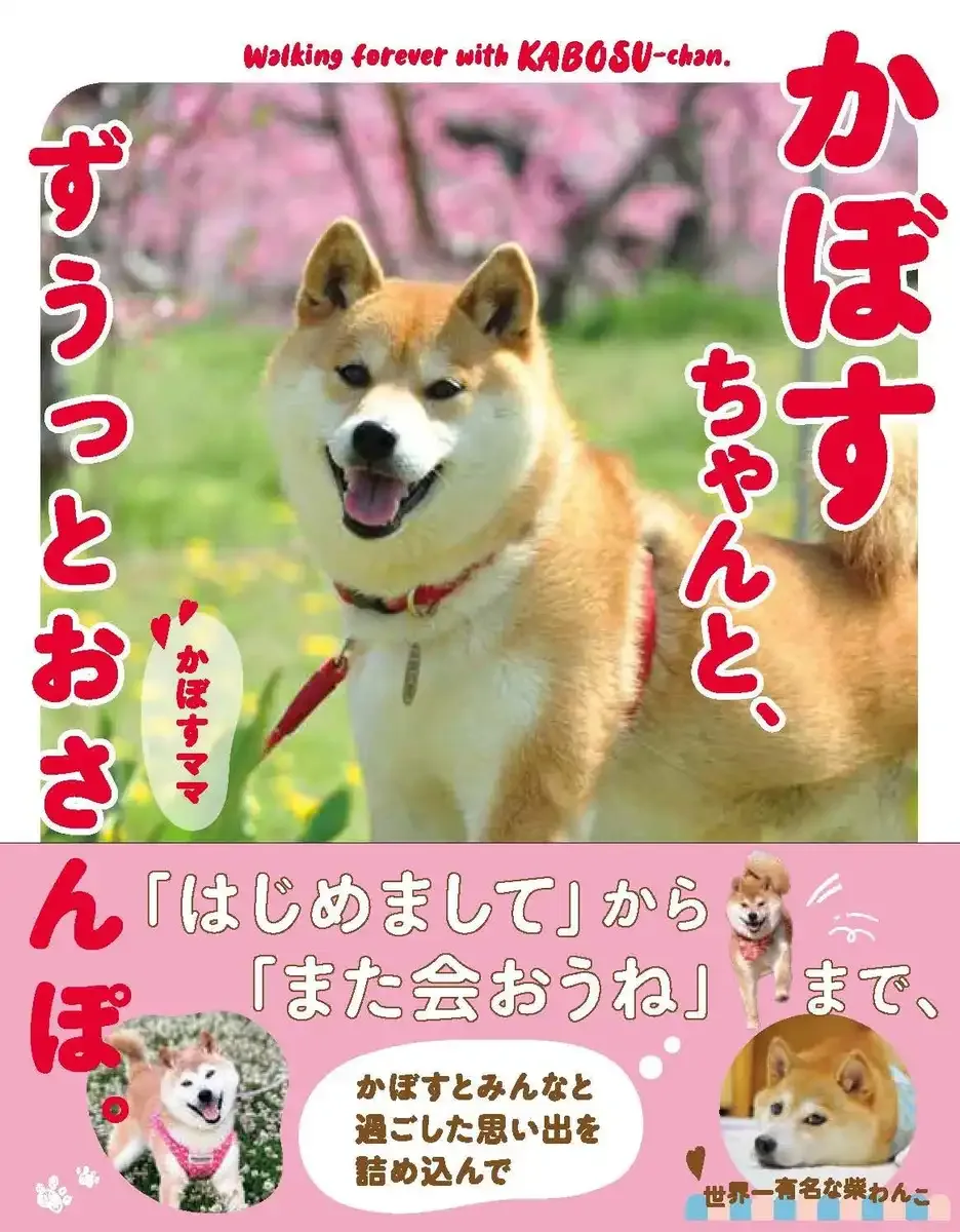 Kadokawa Walk Forever With Kabosu Official Japan Book - Exclusive Edition