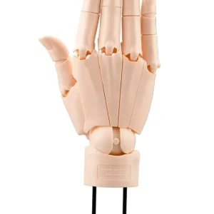 Kotobukiya Artist Support Item 1/1 Hand Model R Pale Orange